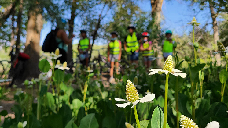 Field photo from the Center of Southwest Culture