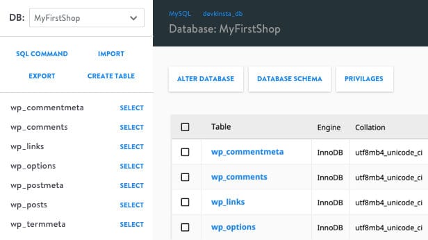 DevKinsta database mnger