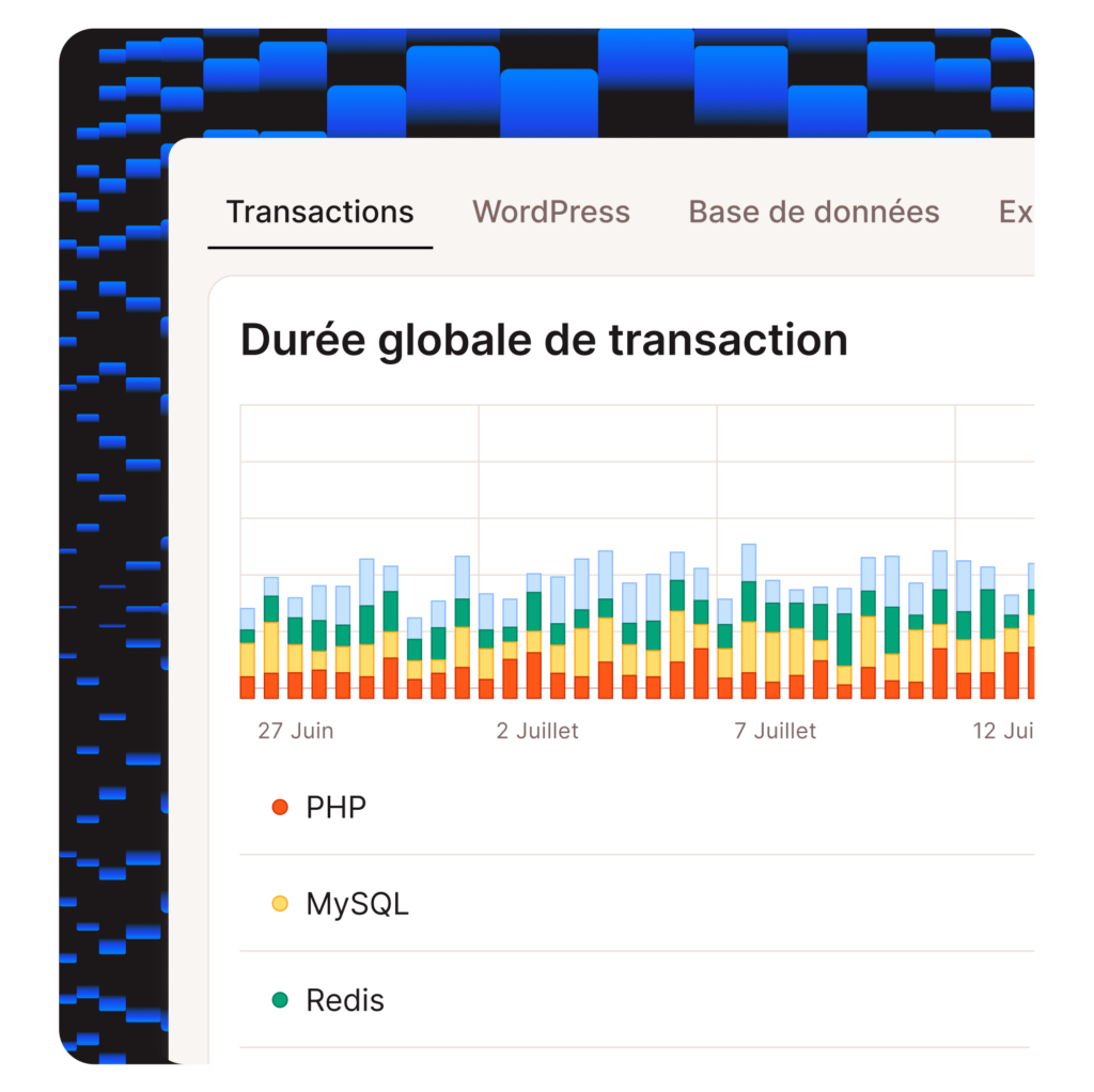 Capture d'écran des transactions dans l'outil APM de MyKinsta