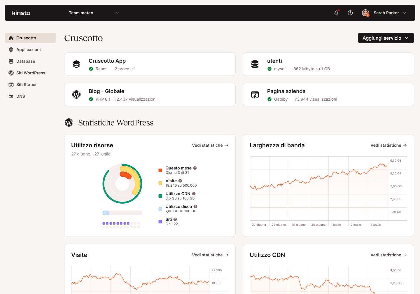 Schermata della dashboard principale di MyKinsta