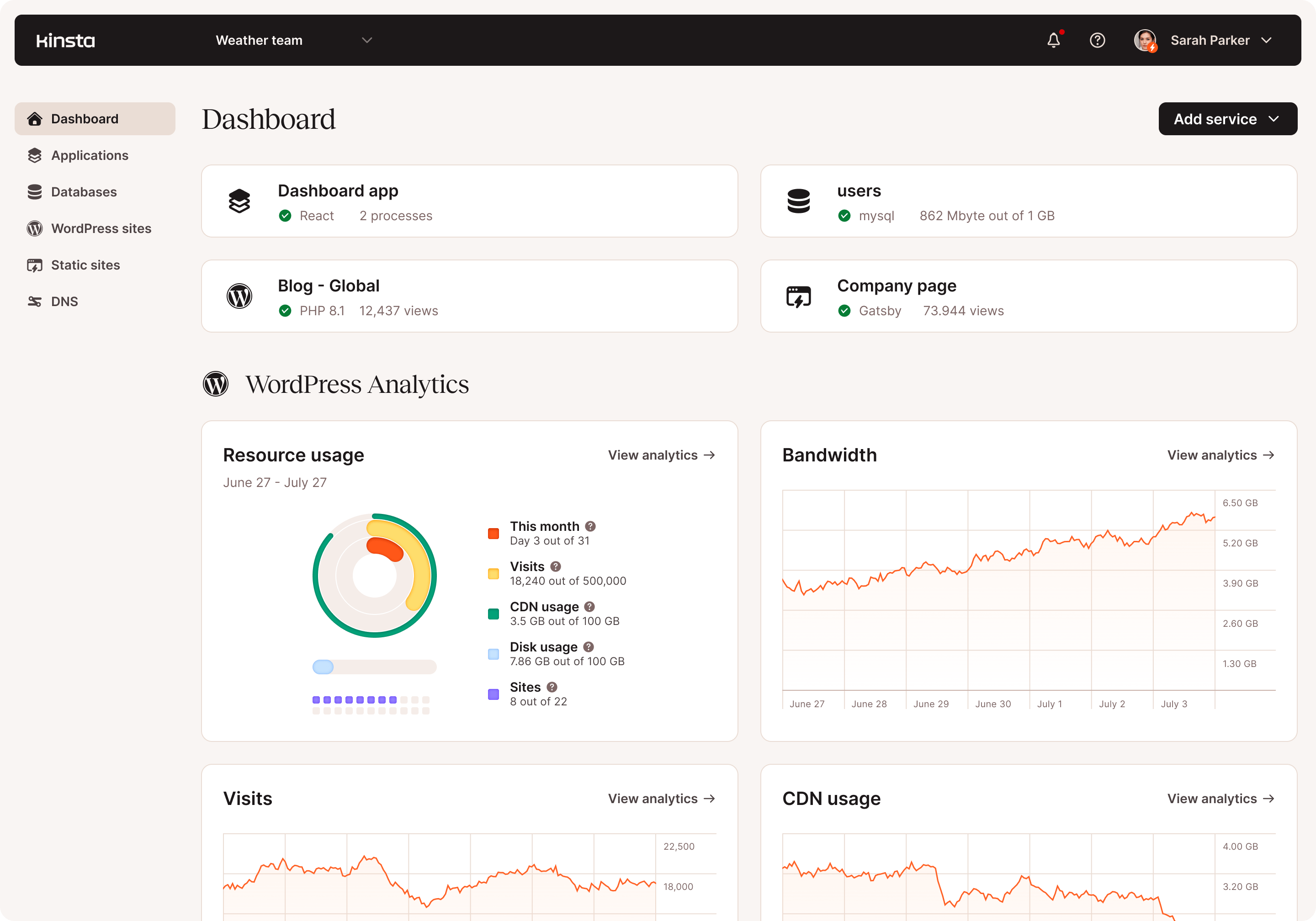 Screenshot of the main MyKinsta dashboard